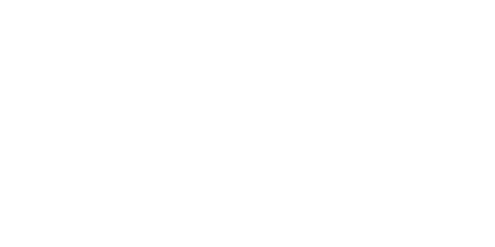 Digital web solution logo white